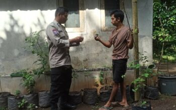 Batulayar Bangkitkan Ketahanan Pangan Lewat Pekarangan Bergizi