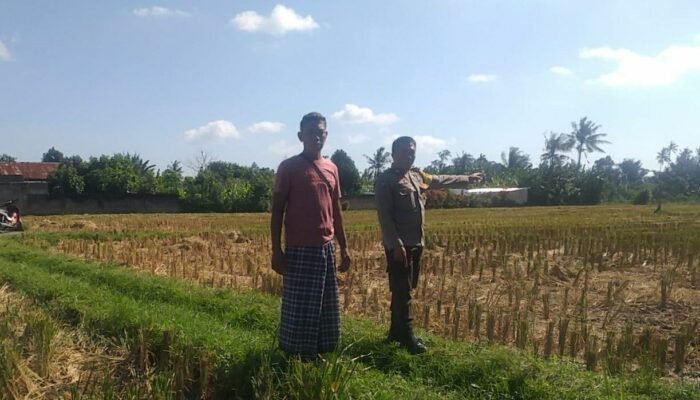 Sinergi Polri dan Warga Kuripan Majukan Kemandirian Pangan Rumah Tangga