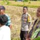 Polsek Kediri Kembangkan Program Ketahanan Pangan di Desa Rumak, Lombok Barat