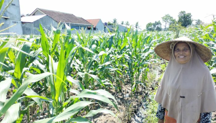 Bhabinkamtibmas Labuapi Galakkan Pemanfaatan Lahan Kosong