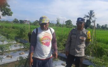 Bhabinkamtibmas Montong Are Dorong Swasembada Pangan di Kediri Lombok Barat