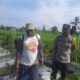Bhabinkamtibmas Montong Are Dorong Swasembada Pangan di Kediri Lombok Barat