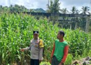 Bhabinkamtibmas Sekotong Dorong Pemanfaatan Pekarangan untuk Ketahanan Pangan