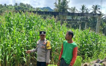 Bhabinkamtibmas Sekotong Dorong Pemanfaatan Pekarangan untuk Ketahanan Pangan