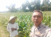 Dukungan Polri di Eyat Mayang, Petani Jagung Tak Sendiri
