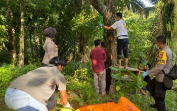 Mayat Pria Ditemukan di Perkebunan, Polsek Pemenang Selidiki Dugaan Bunuh Diri