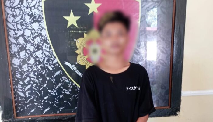 Tipu Teman Baru, Remaja Asal Pagesangan Diciduk Polisi Usai Gelapkan Motor