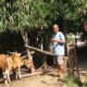 Bhabinkamtibmas Batulayar Barat Dorong Pangan Mandiri