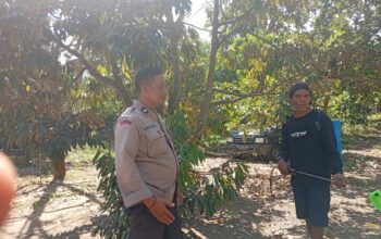 Ketahanan Pangan Desa Merembu Didorong Lewat Jalan Usaha Tani Baru