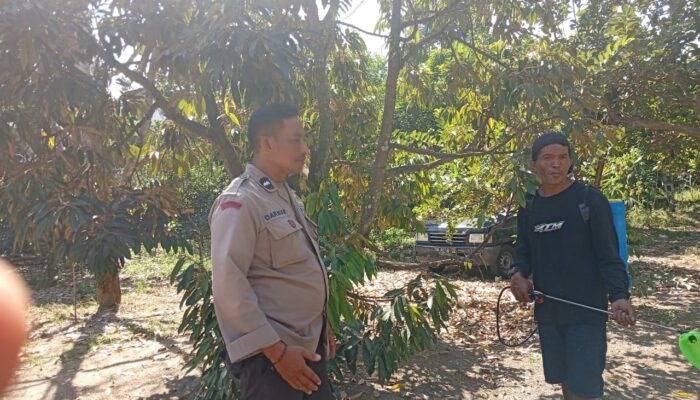 Bhabinkamtibmas Merembu Buka Akses Tani, Warga Antusias Bergotong Royong
