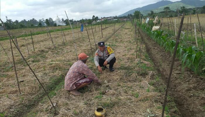 Sinergi Polri-Masyarakat di Jagaraga: Pekarangan Rumah Jadi Sumber Pangan Mandiri