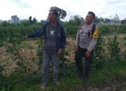 Ketahanan Pangan Dimulai dari Desa, Inisiatif Bhabinkamtibmas di Dusun Beremi Kuripan