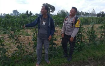 Dusun Beremi Jadi Contoh Pemanfaatan Pekarangan, Polri Dukung Ketahanan Pangan Lokal