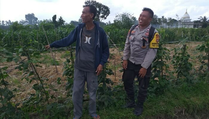 Dusun Beremi Jadi Contoh Pemanfaatan Pekarangan, Polri Dukung Ketahanan Pangan Lokal