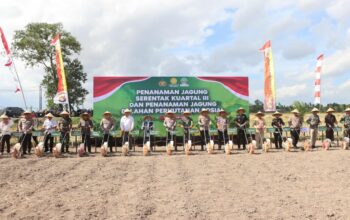 Ketahanan Pangan NTB, Polda dan Pemda Tanam Jagung Serentak di Lombok Barat