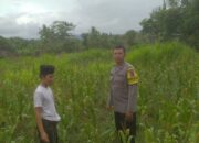 Ketahanan Pangan dan Keamanan Diperkuat di Sekotong Tengah Lewat DDS Bhabinkamtibmas