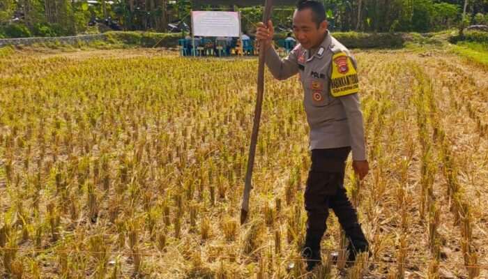 Polisi Ajak Warga Kuripan Utara Manfaatkan Pekarangan untuk Swasembada Pangan