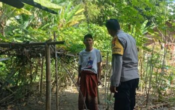 Ketahanan Pangan Dimulai dari Pekarangan: Inisiatif di Desa Babussalam