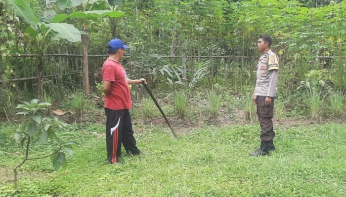 Dari Bengkaung Daye, Inovasi Pekarangan Warga Dorong Kemandirian Pangan