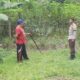 Dari Bengkaung Daye, Inovasi Pekarangan Warga Dorong Kemandirian Pangan
