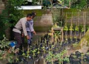 Polri Dorong Ketahanan Pangan dari Pekarangan Warga Kuripan Utara