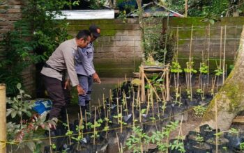 Polri Dorong Ketahanan Pangan dari Pekarangan Warga Kuripan Utara