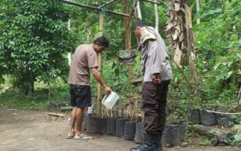 Polsek Batulayar Dorong Kemandirian Pangan Lewat Program Pekarangan di Dusun Orong