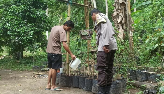 Pekarangan Bergizi di Dusun Orong: Sinergi Polisi dan Warga Jaga Ketahanan Pangan