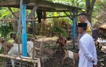 Kolaborasi Polri dan Warga Krandangan Bangun Ketahanan Pangan Lokal