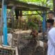Kolaborasi Polri dan Warga Krandangan Bangun Ketahanan Pangan Lokal