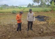 Polri Aktif Dampingi Petani di Tengah Cuaca Ekstrem Lombok Barat