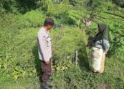 Polsek Kediri Dorong Ketahanan Pangan Warga Montong Are