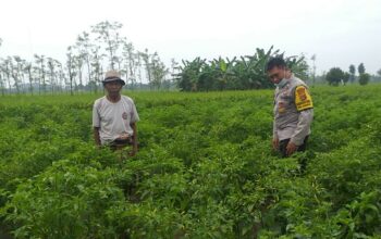 Polsek Kuripan Perkuat Ketahanan Pangan Warga lewat Pendampingan Aktif