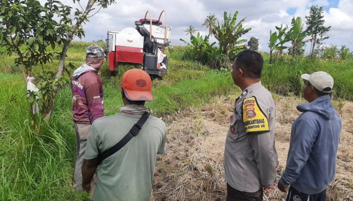 Sinergi Polri dan Warga Dusun Samah Jaya Dorong Ketahanan Pangan Lombok Barat