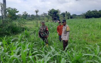 Sinergi Polisi dan Petani di Dusun Nyiur Gasing Dukung Ketahanan Pangan