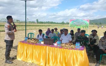 Sinergi Polri, TNI, dan Warga Dukung Swasembada Pangan di Jagaraga, Kuripan
