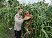 Pekarangan Produktif, Desa Aman: Inisiatif Ketahanan Pangan Bhabinkamtibmas Labuapi