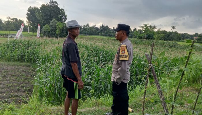 Bhabinkamtibmas Edukasi Petani Kuripan Utara Soal Ketahanan Pangan