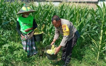 Polsek Labuapi Edukasi Warga Desa Jerneng untuk Tanam Sayur