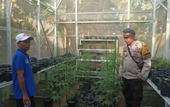 Bhabinkamtibmas Sandik Edukasi Pemanfaatan Pekarangan untuk Pangan