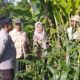 Kolaborasi Polisi dan Petani Banyumulek Dorong Swasembada Jagung