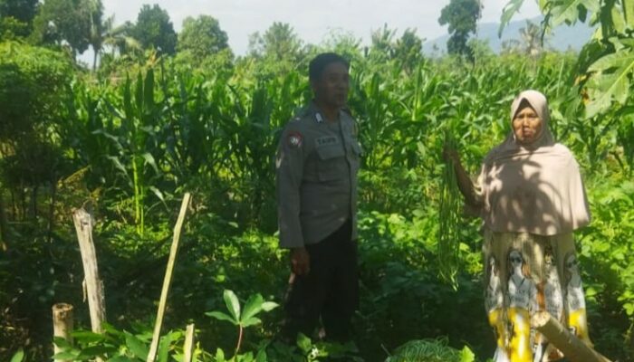 Sinergi Polri dan Petani di Lombok Barat, Ketahanan Pangan Jadi Prioritas