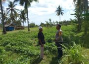 Kunjungi Petani di Sekotong, Polri Tekankan Pemanfaatan Lahan Demi Kedaulatan Pangan