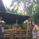 Polsek Kuripan Perkuat Ketahanan Pangan Lewat Edukasi Warga Dusun Batu Banteng