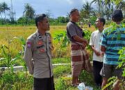 Peran Polisi di Tengah Sawah: Ketahanan Pangan Dimulai dari Dusun Rumak Barat