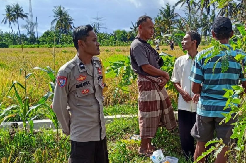 Peran Polisi di Tengah Sawah: Ketahanan Pangan Dimulai dari Dusun Rumak Barat