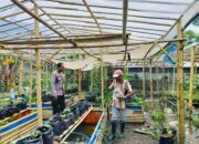 Bhabinkamtibmas Ajak Warga Dusun Tempit Tanam Sayur di Pekarangan Rumah