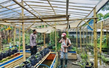 Bhabinkamtibmas Ajak Warga Dusun Tempit Tanam Sayur di Pekarangan Rumah