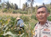 Bhabinkamtibmas Desa Batu Putih Dorong Pemanfaatan Lahan Petani di Dusun Tibu Baru