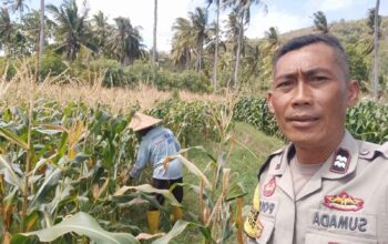 Bhabinkamtibmas Desa Batu Putih Dorong Pemanfaatan Lahan Petani di Dusun Tibu Baru
